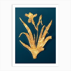 Vintage Hungarian Iris Botanical in Gold on Teal Blue n.0048 Art Print