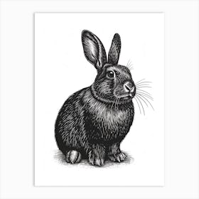 American Sable Blockprint Rabbit Illustration 3 Art Print