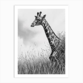 Giraffe In The Grass Pencil Drawing 7 Art Print