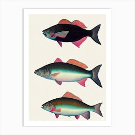 Halibut Vintage Poster Art Print