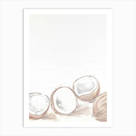 Watercolour 4 Coconuts Art Print