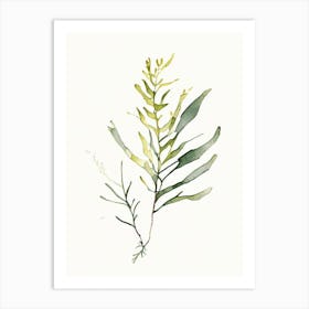 Bladderwrack Leaf Minimalist Watercolour 2 Art Print