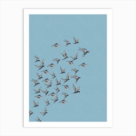 Blue Bird Flock Print Art Print