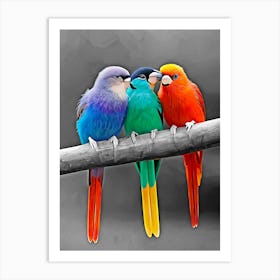 Three Colorful Parrots Art Print