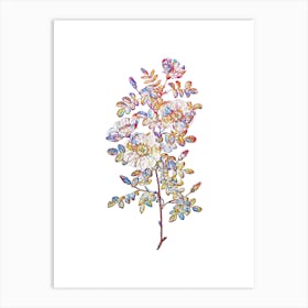 Stained Glass White Burnet Roses Mosaic Botanical Illustration on White n.0088 Art Print