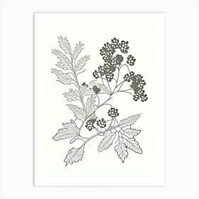 Hawthorn Herb William Morris Inspired Line Drawing 3 Art Print