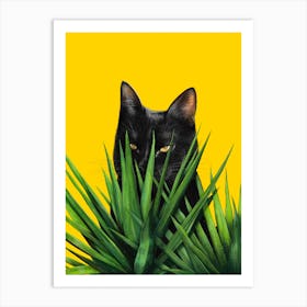 Black Cat In Leaves Art Print
