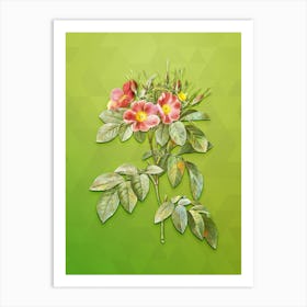 Vintage Pasture Rose Botanical Art on Love Bird Green Art Print