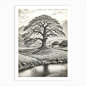 highly detailed pencil sketch of oak tree next to stream, mountain background 4 Art Print