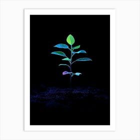 Green Plant In The Dark Art Print