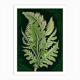 Sword Fern 1 Vintage Botanical Poster Art Print