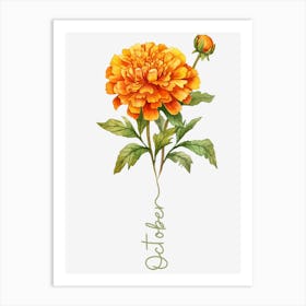 October Birth Flower Birth Month Botanical 1 Art Print