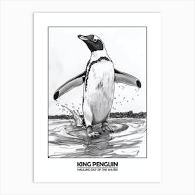 Penguin Hauling Out Of The Water Poster 9 Art Print