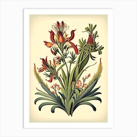 Kangaroo Paw 1 Floral Botanical Vintage Poster Flower Art Print