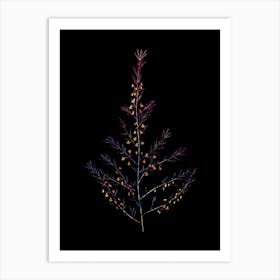 Stained Glass Sea Asparagus Mosaic Botanical Illustration on Black n.0145 Art Print