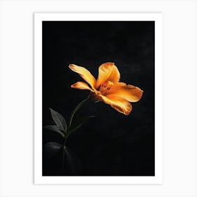 Orange Lily 9 Art Print