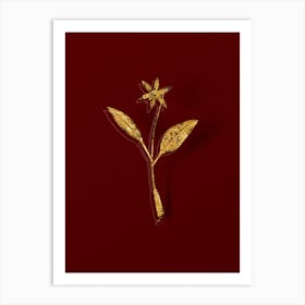 Vintage Erythronium Botanical in Gold on Red n.0208 Art Print