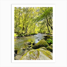 River In The Woods Art Print