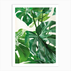 Monstera Plant 2 Art Print