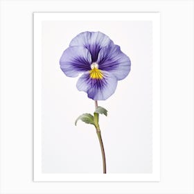 Pressed Wildflower Botanical Art Common Blue Violet Viola 2 Art Print