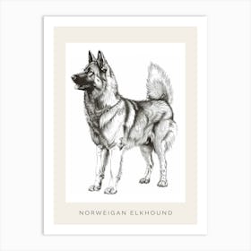 Norweigan Elkhound Dog Line Sketch 1 Poster Art Print