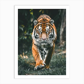 Tiger 2 Art Print