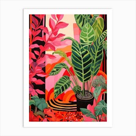 Pink And Red Plant Illustration Calathea 2 Art Print