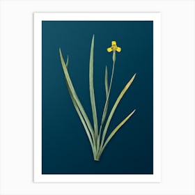 Vintage Iris Martinicensis Botanical Art on Teal Blue n.0510 Art Print