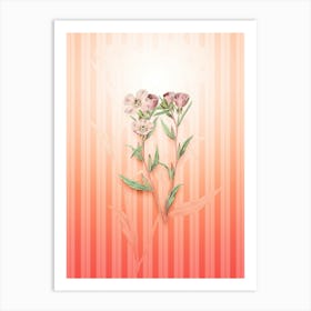 Pale Corona Amaryllis Vintage Botanical in Peach Fuzz Awning Stripes Pattern n.0230 Art Print