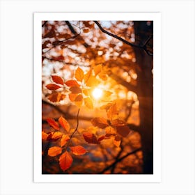 Autumn Leaves In The Sunlight 1 Art Print