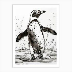 African Penguin Hauling Out Of The Water 3 Art Print