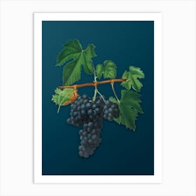 Vintage Lacrima Grapes Botanical Art on Teal Blue n.0152 Art Print