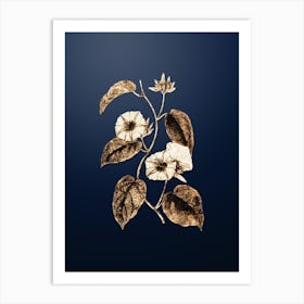 Gold Botanical Hoary Jacquemontia Flower on Midnight Navy n.0472 Art Print