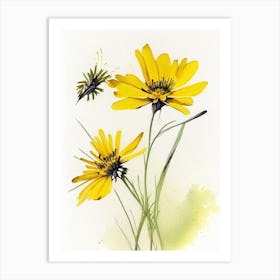 Tickseed Wildflower Watercolour Art Print