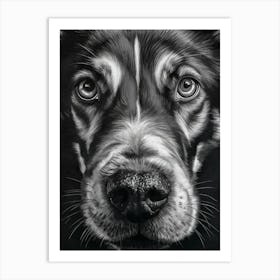 Black And White Dog Portrait Art Print