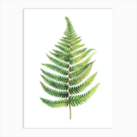 Pattern Poster Hares Foot Fern 2 Art Print