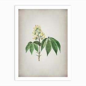 Vintage Yellow Buckeye Botanical on Parchment n.0681 Art Print