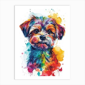 Maltese Watercolor Painting 4 Art Print