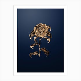 Gold Botanical Mr. Reeves's Crimson Camellia on Midnight Navy n.2554 Art Print