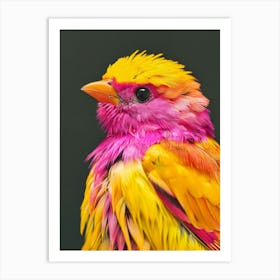 Colorful Bird 8 Art Print