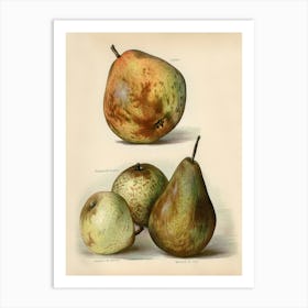 Vintage Illustration Of Fruit, John Wright Art Print