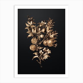 Gold Botanical Bitter Orange on Wrought Iron Black n.1755 Art Print