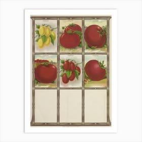 Tomatoes And Peppers Art Print