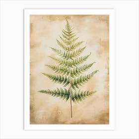 Soft Shield Fern Painting 1 Art Print