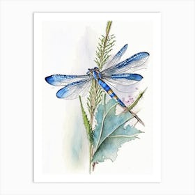 Blue Dasher Dragonfly Watercolour Ink Pencil 1 Art Print