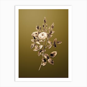 Gold Botanical Mossy Pompon Rose on Dune Yellow n.4263 Art Print