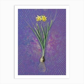 Vintage Lesser Wild Daffodil Botanical Illustration on Veri Peri n.0270 Art Print