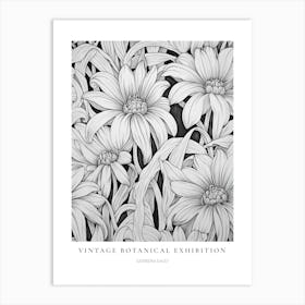 Gerbera Daisy B&W Vintage Botanical Poster Art Print