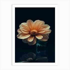 Dahlia Flower 6 Art Print