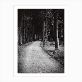 Dark Forest Path // The Netherlands :: Nature Photography Art Print